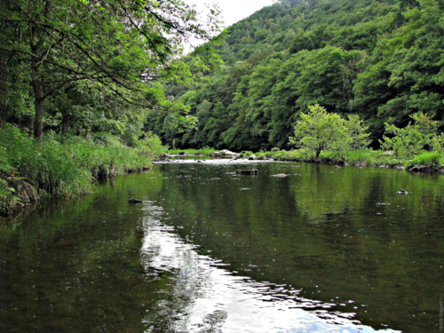 Place-de-la-Nature