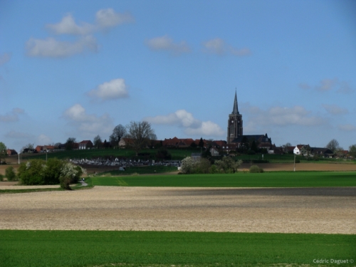 Paysage rural, département du Nord.