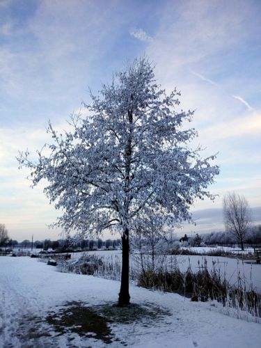 paysage hiver