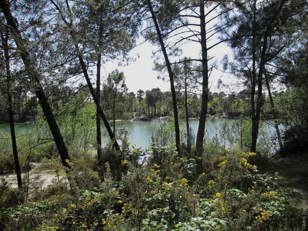 Lac landes biodiversité paysage
